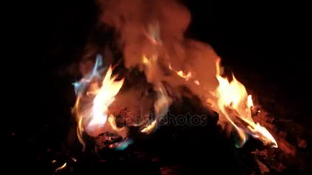 El libro está ardiendo en el fuego — Vídeos de Stock