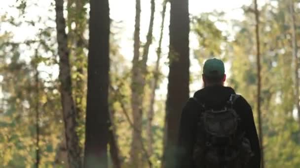Der Mann mit dem Rucksack geht durch den Wald. — Stockvideo