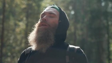 Güneş ışığı ve sıcaklık zevk ormandaki Forester.