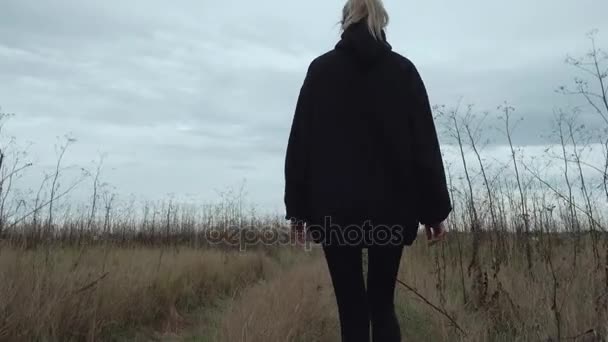 Женщина, идущая в мистическое поле — стоковое видео