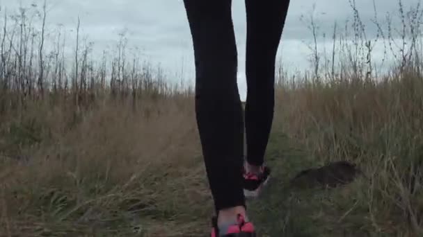 Athlète sort pour un jogging matinal — Video