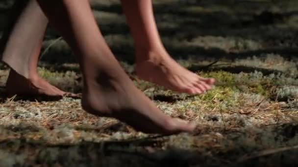 Chicas en vestidos caminando sobre el musgo del bosque — Vídeo de stock