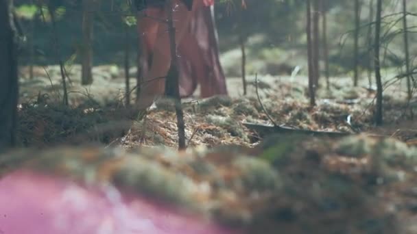 Meninas em vestidos andando sobre o musgo da floresta — Vídeo de Stock