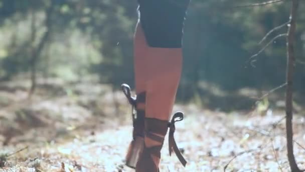 Karcsú barna sétál az erdőben — Stock videók