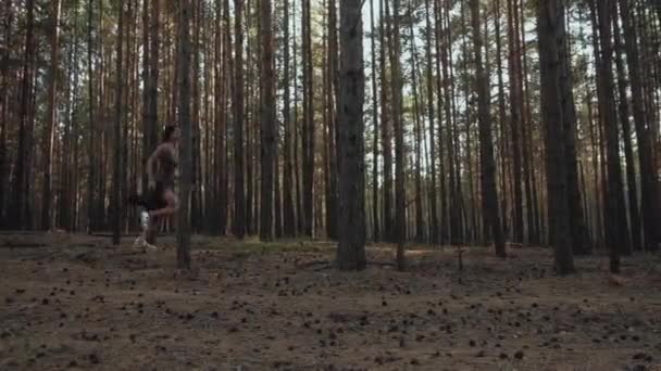 Fille courir dans la forêt avec de grands pins — Video