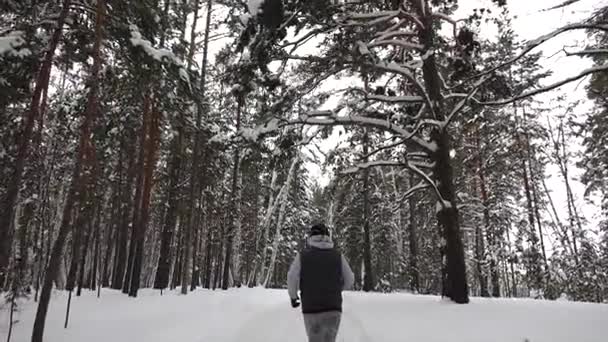 Jeune coureur en hiver jogging dans le parc . — Video