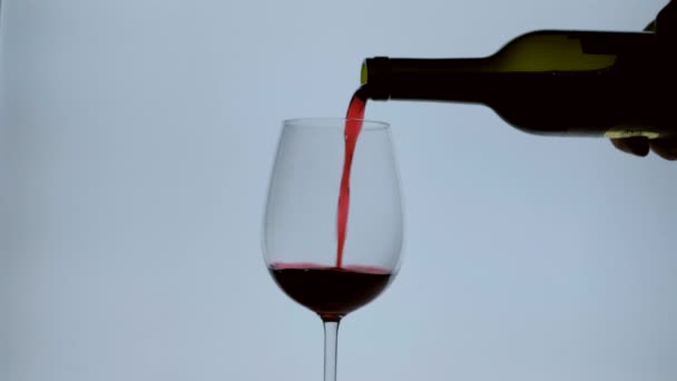 Filmschleife. Rotwein aus Flasche in Weinglas gießen. — Stockvideo