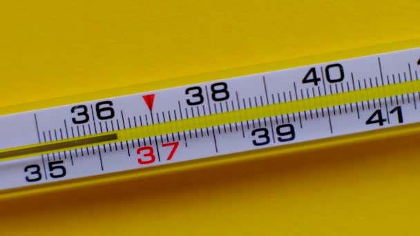 Temperature rising shown on a thermometer on a yellow background close-up. — Stock Video