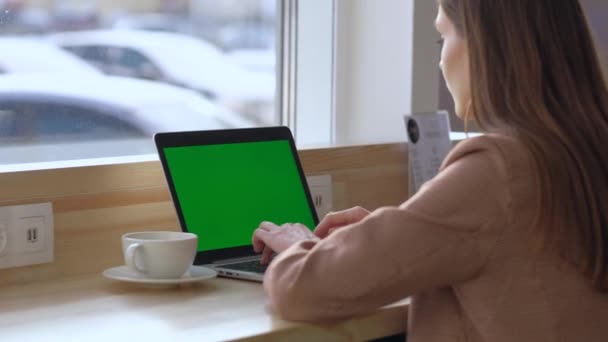 Vista trasera - mujer sentada en la mesa bebiendo café y mirando el portátil . — Vídeo de stock