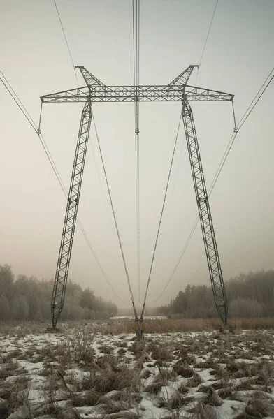 Sis zamanında kış ormanlarında elektrik iletim hattı. Kablo simetrisiyle ufuk çizgisini aşan pilon atışı.