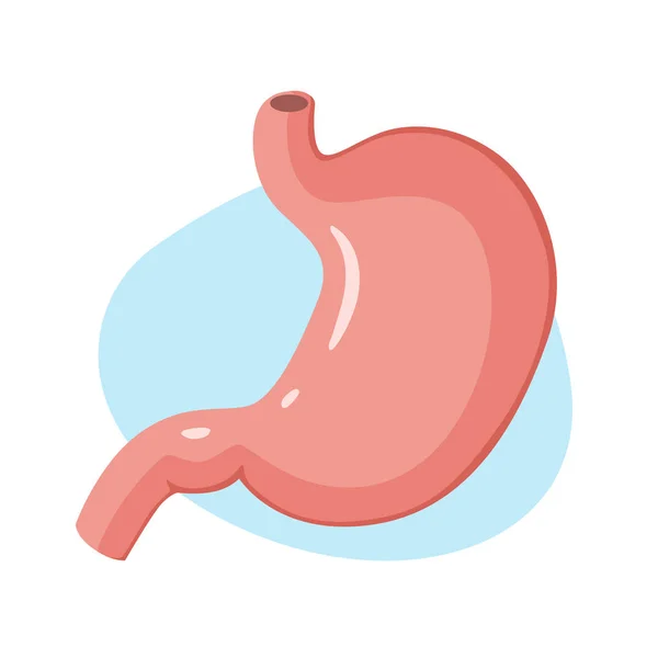 Icône d'estomac. Organes internes humains — Image vectorielle