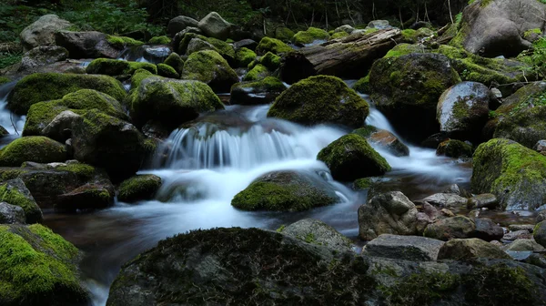 Rocky mountain stream — Stock Photo, Image