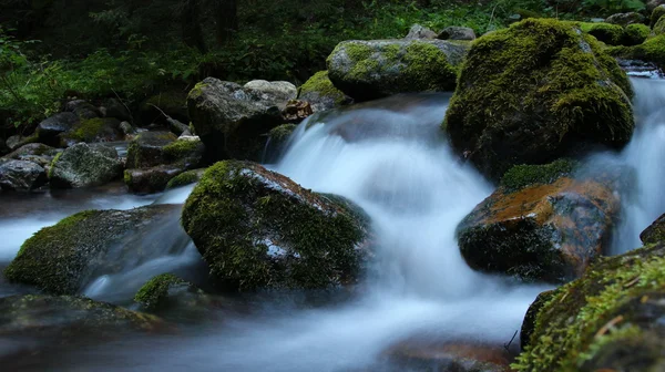 Rzeka, górska rzeka, Dunajec, woda, kamienie, woda w górach, polska ...