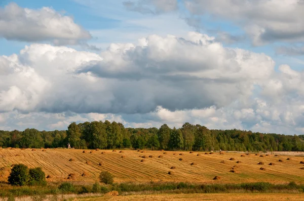 Field with hay and beautiful clouds — Stock Photo, Image