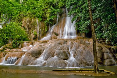 Tayland jungle şelale