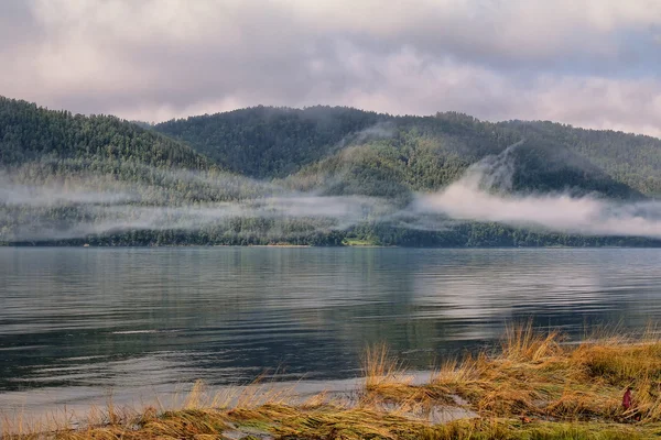 Angara Nehri. Yaz. Sabah. — Stok fotoğraf