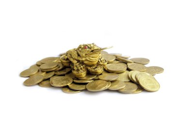 Beyaz bir arka plan üzerinde para kurbağa