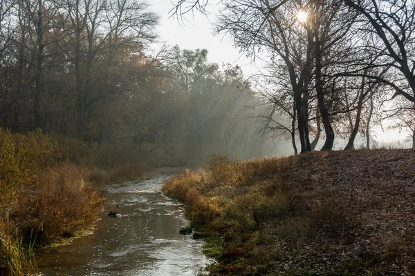 nature, landscape, seasons