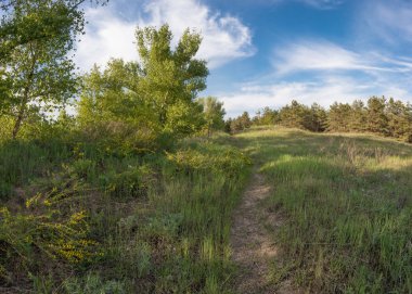 manzara, doğa, manzara, mevsim