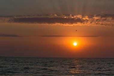 manzara, doğa, manzara, mevsim