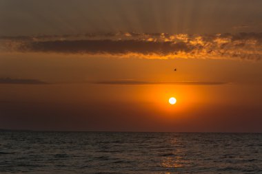 manzara, doğa, manzara, mevsim