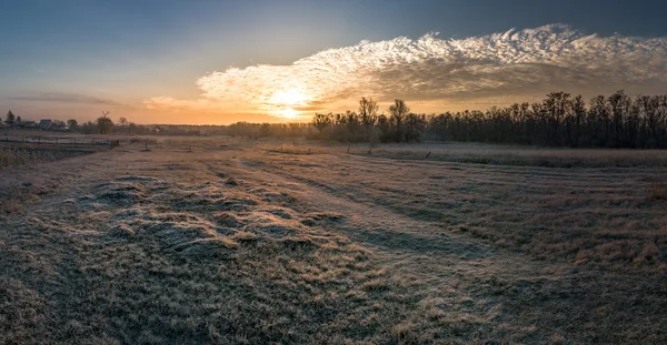 nature, landscape, seasons