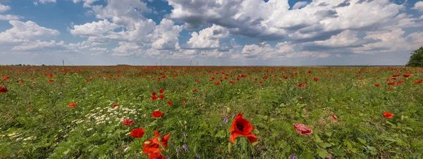 Manzara, doğa, manzara, mevsim — Stok fotoğraf