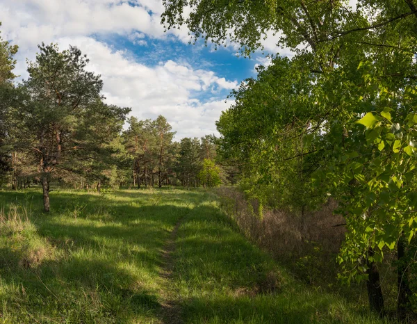 landscape, nature, landscape, seasons