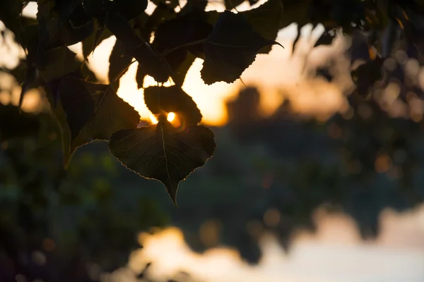 landscape, nature, landscape, seasons