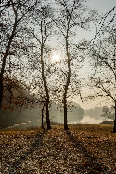 Landschaft, Natur, Landschaft, Jahreszeiten — Stockfoto