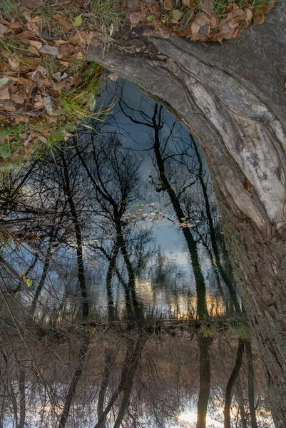 Paisagem, natureza, paisagem, estações — Fotografia de Stock