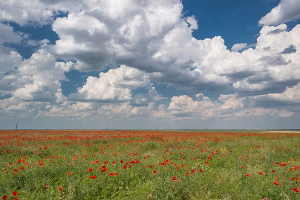 landscape, nature, landscape, seasons