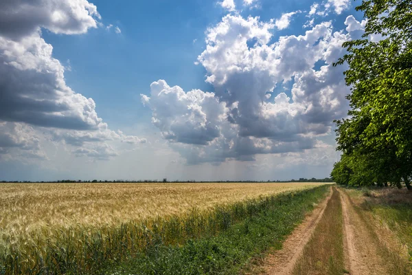 landscape, nature, landscape, seasons