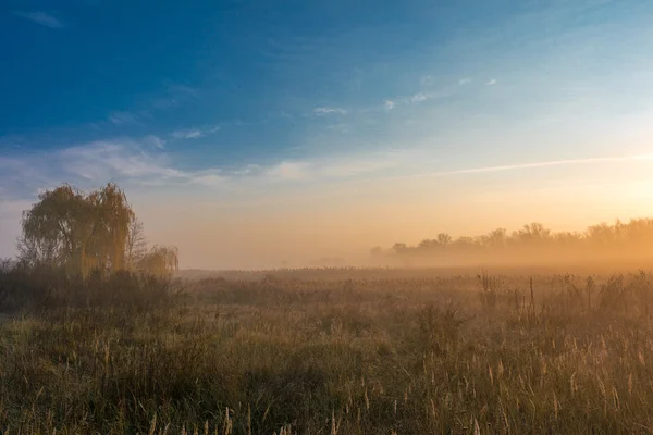 landscape, nature, landscape, seasons