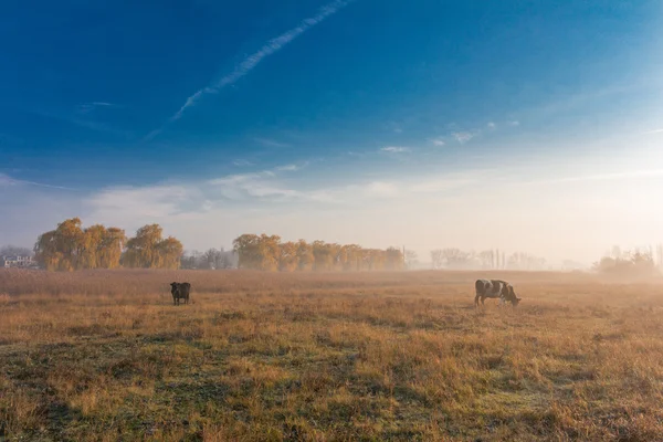 landscape, nature, landscape, seasons