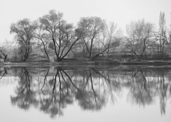 Landschaft, Natur, Landschaft, Jahreszeiten — Stockfoto