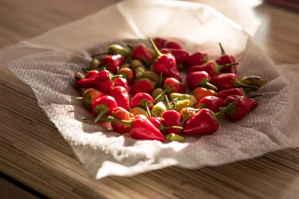 biber, kırmızı biber, kırmızı acı biber, baharatlı, baharat, gıda, bitki, küçük kırmızı biber, biber. Biber