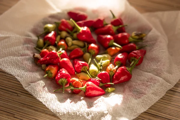 pepper, red pepper, red hot pepper, spicy, spice, food, plant, small red pepper, chili. CHILLI