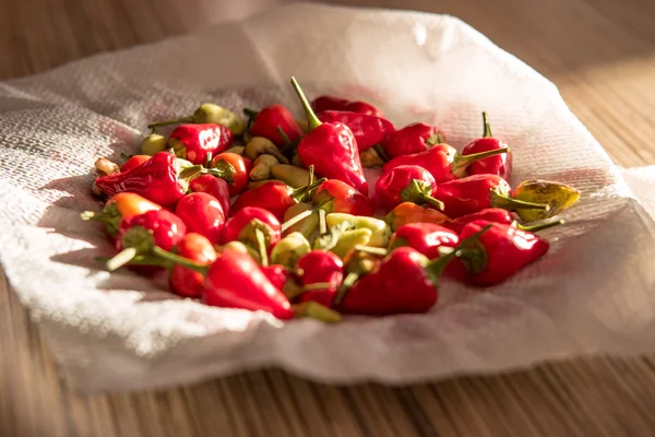 biber, kırmızı biber, kırmızı acı biber, baharatlı, baharat, gıda, bitki, küçük kırmızı biber, biber. Biber