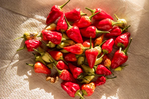 biber, kırmızı biber, kırmızı acı biber, baharatlı, baharat, gıda, bitki, küçük kırmızı biber, biber. Biber