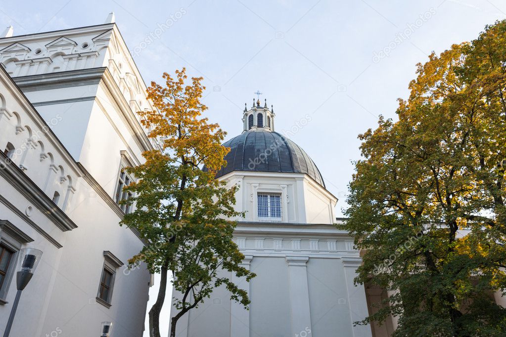 El palacio de los grandes duques de Lituania y la catedral 2023