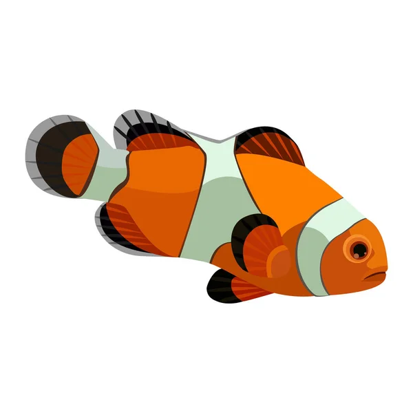 Bohóc hal aranyos vicces — Stock Fotó