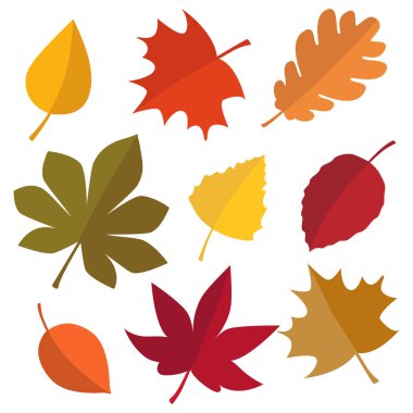 Parlak sonbahar yaprakları