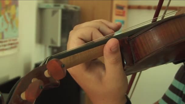 Close up on violinist hands — Stockvideo