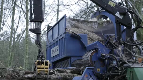 工作中的林业研磨机 — 图库视频影像