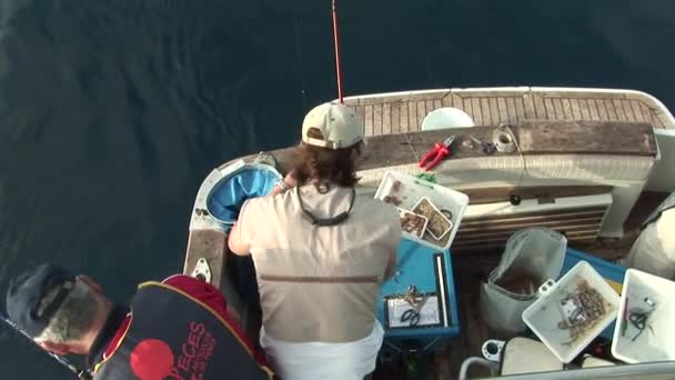 Men Hooking Bate Preparing Themselves Fish Boat — Stock Video