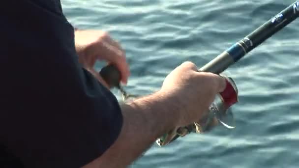 Κοντινό Πλάνο Στον Ψαρά Που Ψαρεύει Και Κουρδίζει Στο Καρούλι — Αρχείο Βίντεο