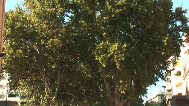 Пан Деревьев Оживленную Улицу Испании — стоковое видео