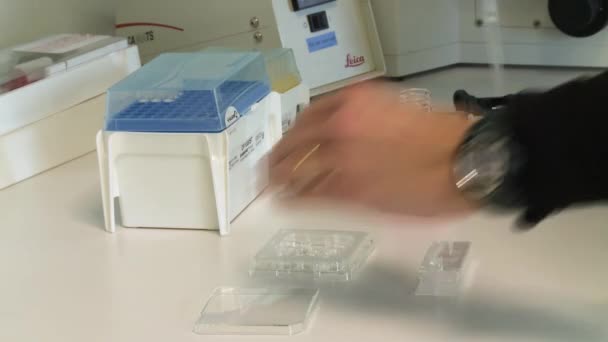 Vědec Připraví Injekční Stříkačku Tekutinou Láhvi Pak Začne Plnit Vzorky — Stock video