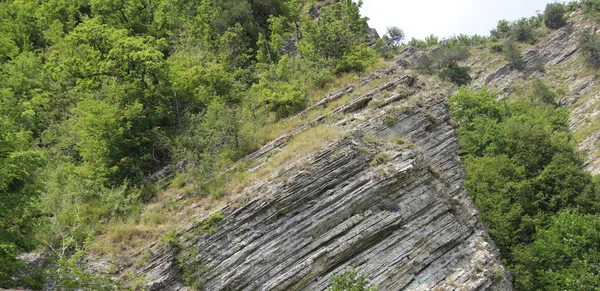 Kafkas Dağlarının Rocky tepeleri